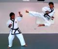 United Kingdom Tang Soo Do Federation (Region 4) Martial Arts image 1