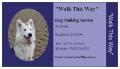 "Walk This Way"   Dog Walking Service image 1