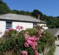 Cornish Holiday Cottages image 5