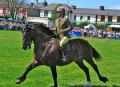 Aberaeron Festival of Welsh Ponies and Cobs image 8