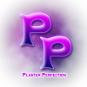 Plaster Perfection logo