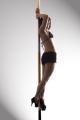 The Pole Studio Dorking image 6