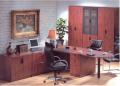 ACS Office Furniture image 2