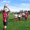 Penryn Rugby Football Club image 5