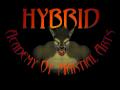 Hybrid Academy of Martial Arts image 1