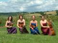 The Exe Valley String Quartet, Devon image 1
