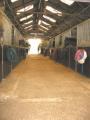 Thundry Farm Livery & Training Yard image 3