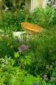 Lucinda Burgess Garden and Landscape Design image 1