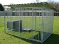 Canine Kennels image 6