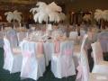 Wedding Chair Cover Hire - Glasgow, Dumbarton, Clydebank, Loch Lomond, Balloch image 3