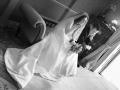 Caslin Wedding Photography image 3