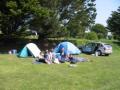 Lower Treave Caravan and Camping Park image 3