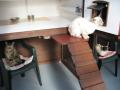 Cats Whiskers Boarding Cattery image 5
