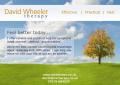 David Wheeler Therapy image 1