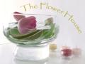 The Flower House Cardiff ( Florist in Cardiff, Cardiff Flowers, Wedding Flowers) logo