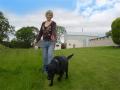 Ballylone Boarding Kennels & Cattery image 4