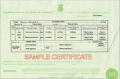 Replacement Birth Certificate image 2