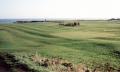 Magdalene Fields Golf Club image 1