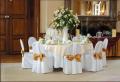 Fabulous Chair Covers image 2