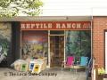 Reptile Ranch image 1