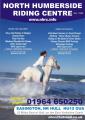 North Humberside Riding Centre image 1