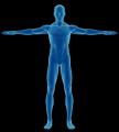 Optimise Performance and Wellbeing - All Natural Products logo