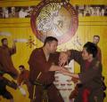 London Shaolin Weng Chun Kung Fu Academy image 2