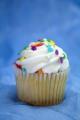 Fluffylicious Cupcakes image 10