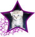 Rock Star Katz logo