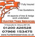 Hunter Tree Services image 1