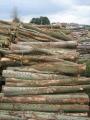 Ecofirewood image 2