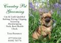 Country Pet Grooming logo