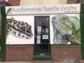 southampton reptile centre image 2