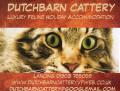 Dutch Barn Cattery logo