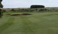 South Shields Golf Club image 2