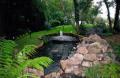 Dixons Landscaping & Ponds image 3