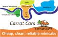 Carrot Cars image 2