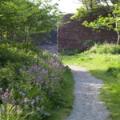 Monk Haven bed and breakfast Pembrokeshire image 3
