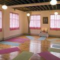 The Special Yoga Centre image 1