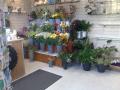 ewood florist image 3