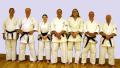 UK Bushido Karate image 1