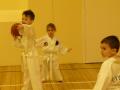 Spartan Taekwon-Do Academy image 4