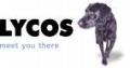 Lycos Solutions image 2