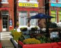 Lyness Guest House image 1