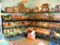 Manor Farm Shop and Tearoom image 7