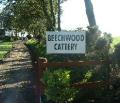 Beechwood cattery logo