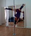 Pole Pursuits image 3