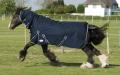 Wybunbury Lane Equestrian & Embroidery image 2