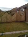 CLAYTON FENCING DECKING GATES PATIOS TREE WORK HD89PS image 10