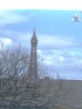 The Marston Guest House (Central Blackpool) image 10